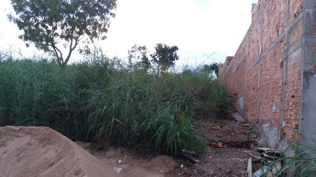 Lote tropical ville