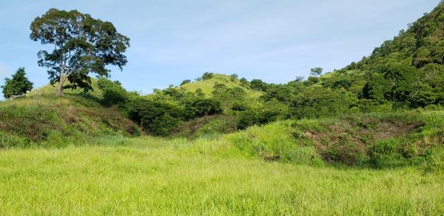 Fazenda 96,8 hectares - São Jose Safira, região de Governador Valadares/MG - Foto 7