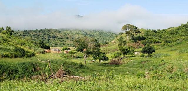 Fazenda 96,8 hectares - São Jose Safira, região de Governador Valadares/MG - Foto 9