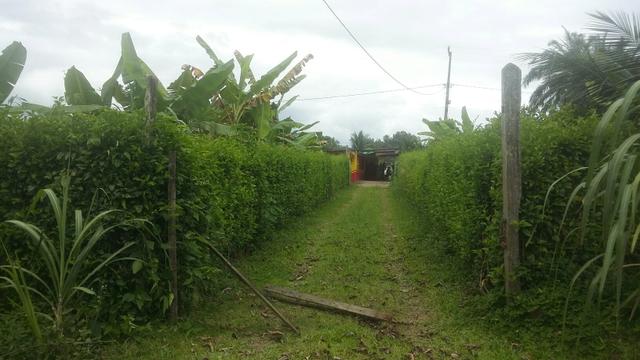 Sitio