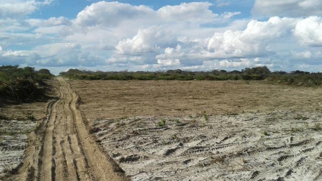 Fazenda de 7.000ha em Pilão Arcado - BA - Foto 14
