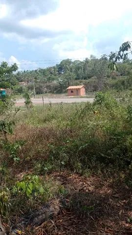 Vendo terreno na alça viária - Foto 4