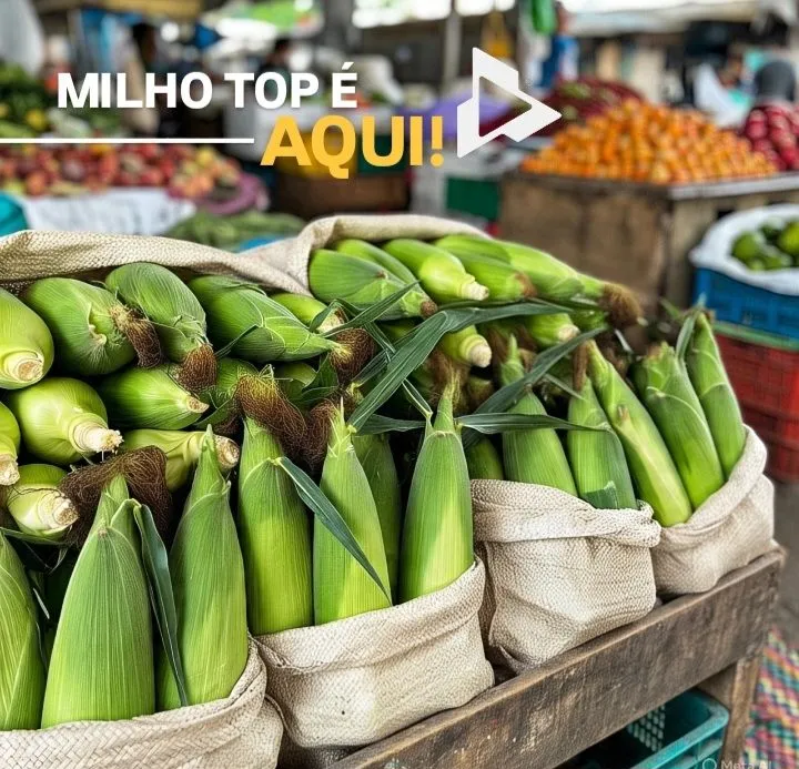 SACO DE MILHO PRO QUALY - VEEVO AGRO - JUAZEIRO E PETROLINA ?