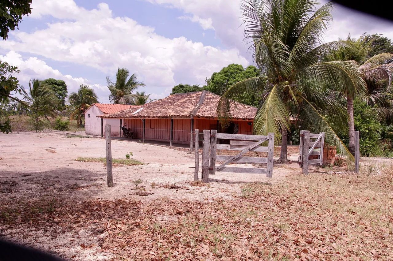 Produtiva Fazenda no Município São Geraldo do Araguaia - PA 234 hectares - Foto 3