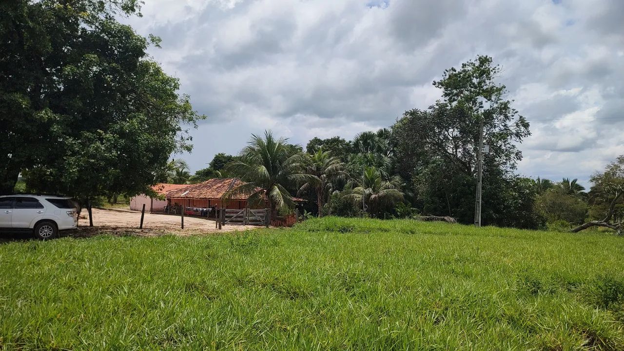 Produtiva Fazenda no Município São Geraldo do Araguaia - PA 234 hectares - Foto 2