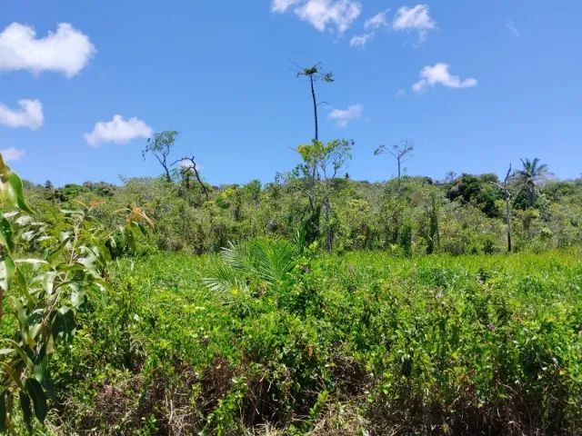 Vendo - Lote - Murado - Barra de Pojuca - Foto 8