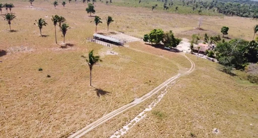 Produtiva Fazenda no Município São Geraldo do Araguaia - PA 234 hectares