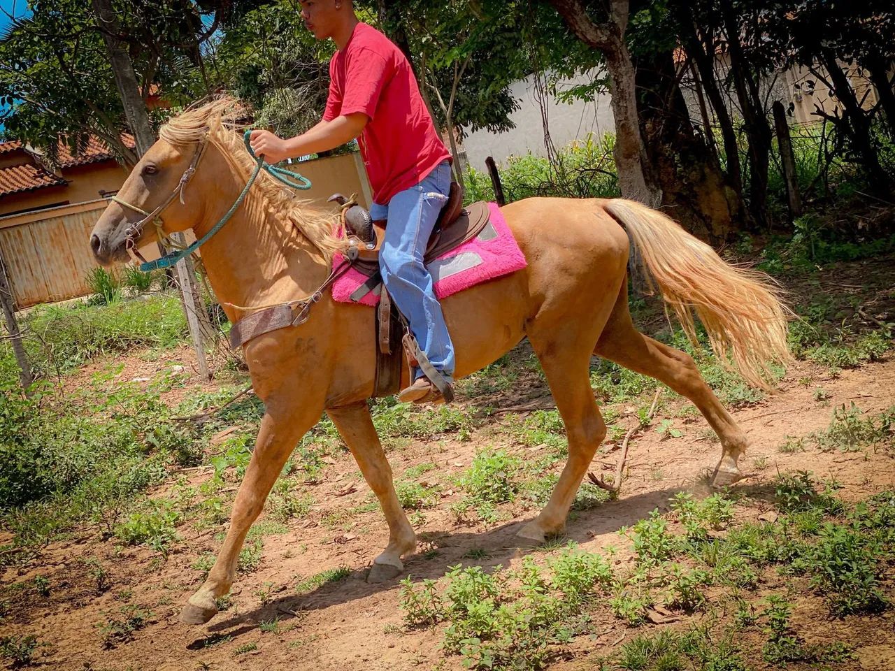 GARANHÃO QM INICIANDO NOS TRÊS TAMBORES 