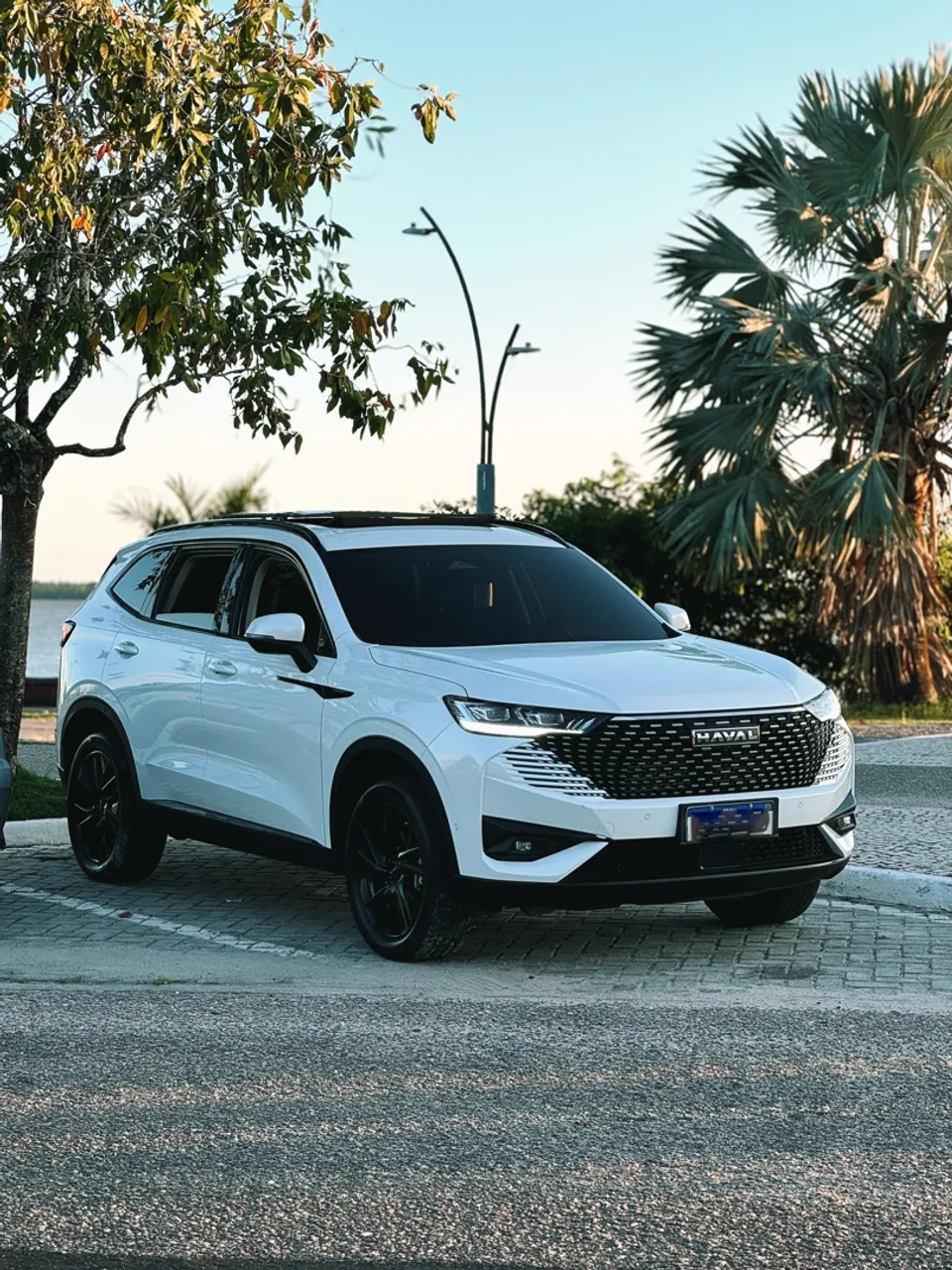Haval H6 HEV - Estado de Zero