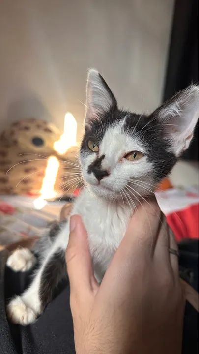 Doação responsável 