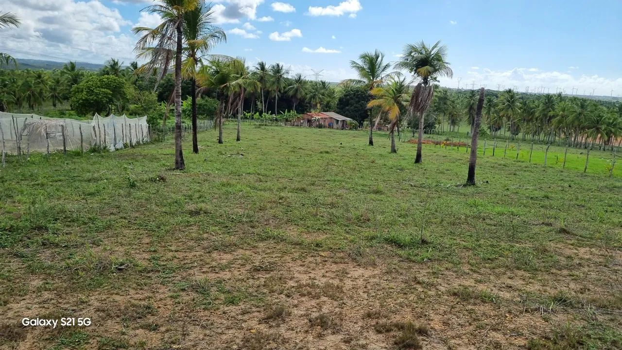 Sitio 28por 80 - Foto 3