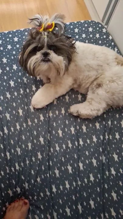 Procura de um.namirado !!!