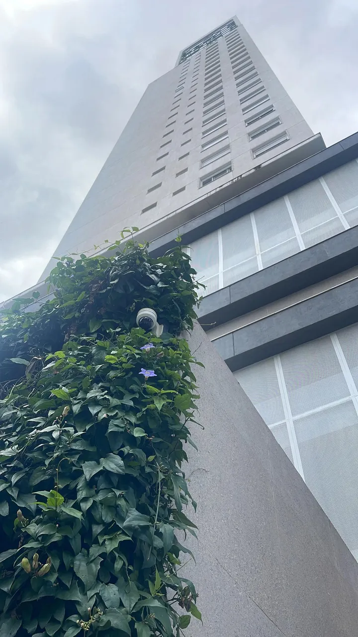 Loja térrea com mezanino com 590m2