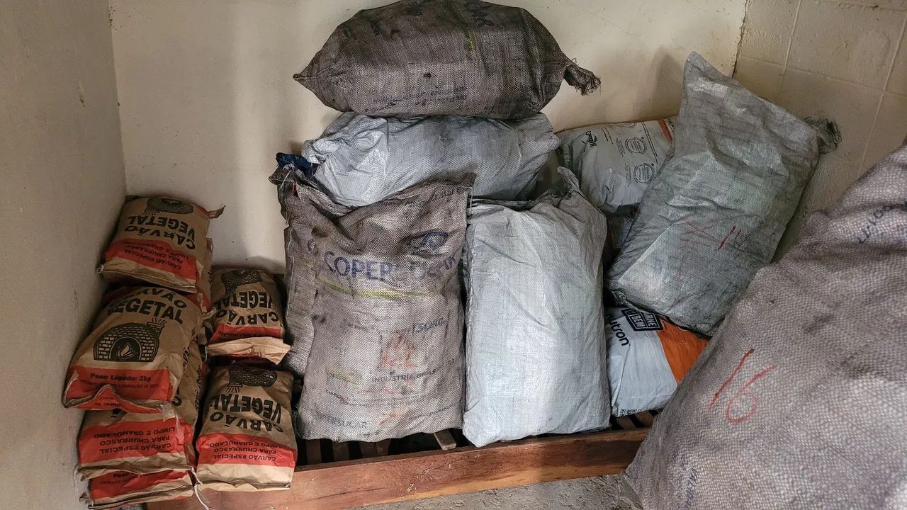 Carvão 100% eucalipto 64167770814082123