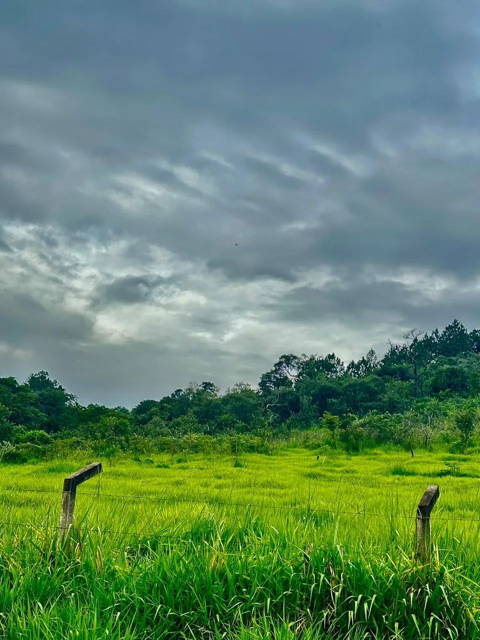 Invista em uma Área Valorizada  Garanta o Seu! - Foto 5