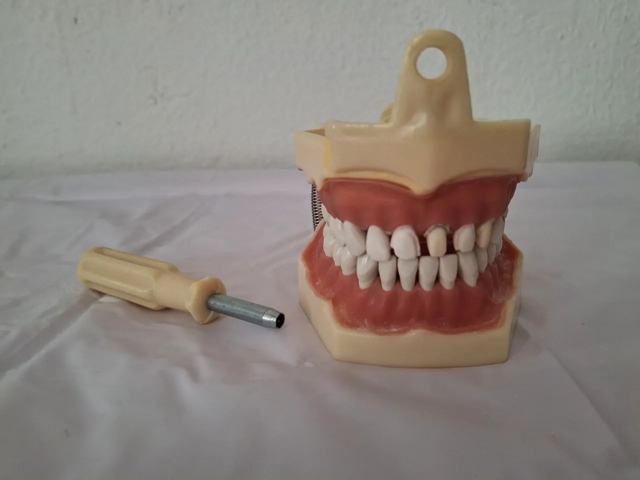 Manequim Odontológico Dent-art para Dentística