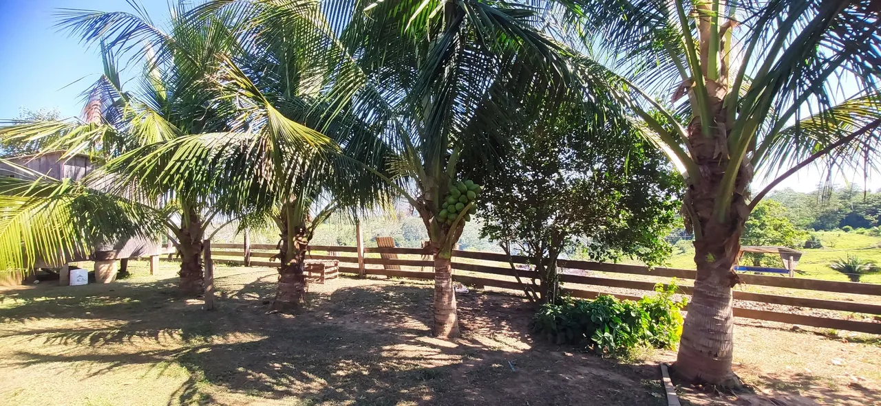 VENDO FAZENDA NA TRANSACREANA