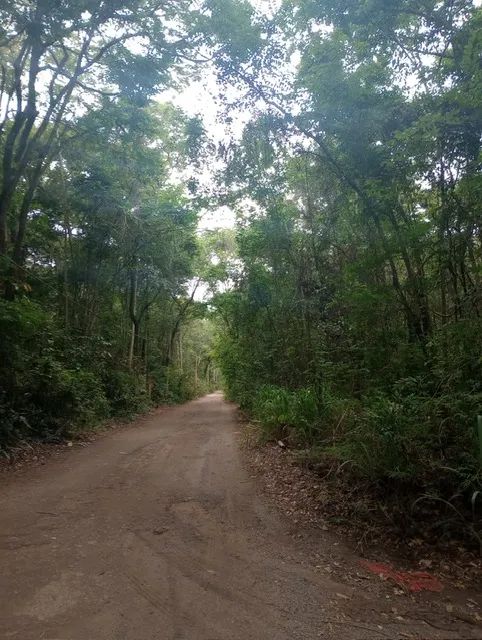 Chácara para venda com 2.257 metros quadrados - Rua Jandaia, Chácaras de Recreio Samambaia - Foto 4