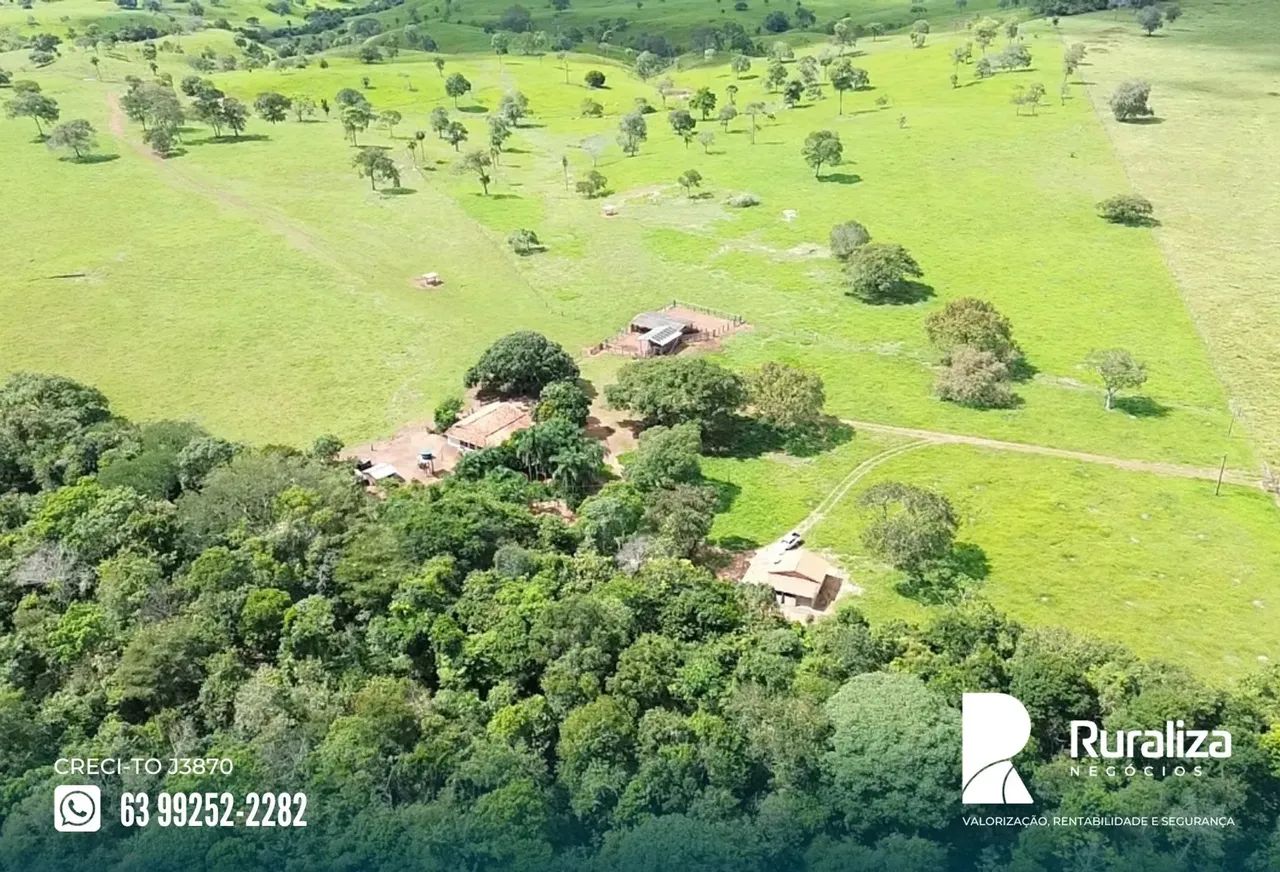 Colinas - TO Ideal para quem busca investir em pecuária com praticidade e excelente acesso - Foto 5
