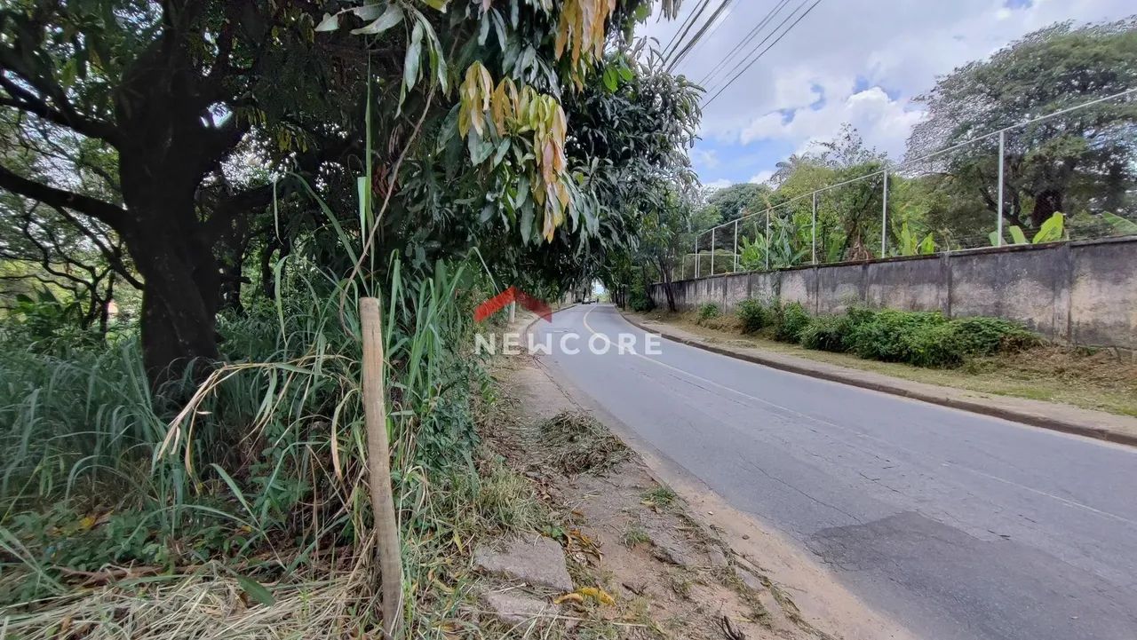 Lote em Rua José Simplício Moreira - Trevo - Belo Horizonte/MG - Foto 3
