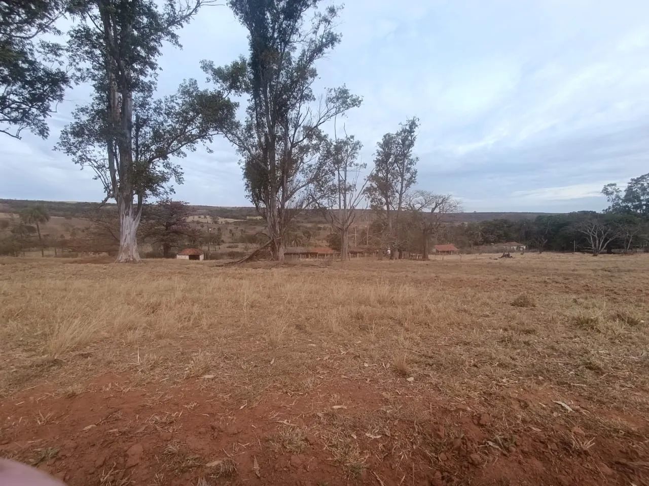 Fazenda em comendador gomes  - Foto 5
