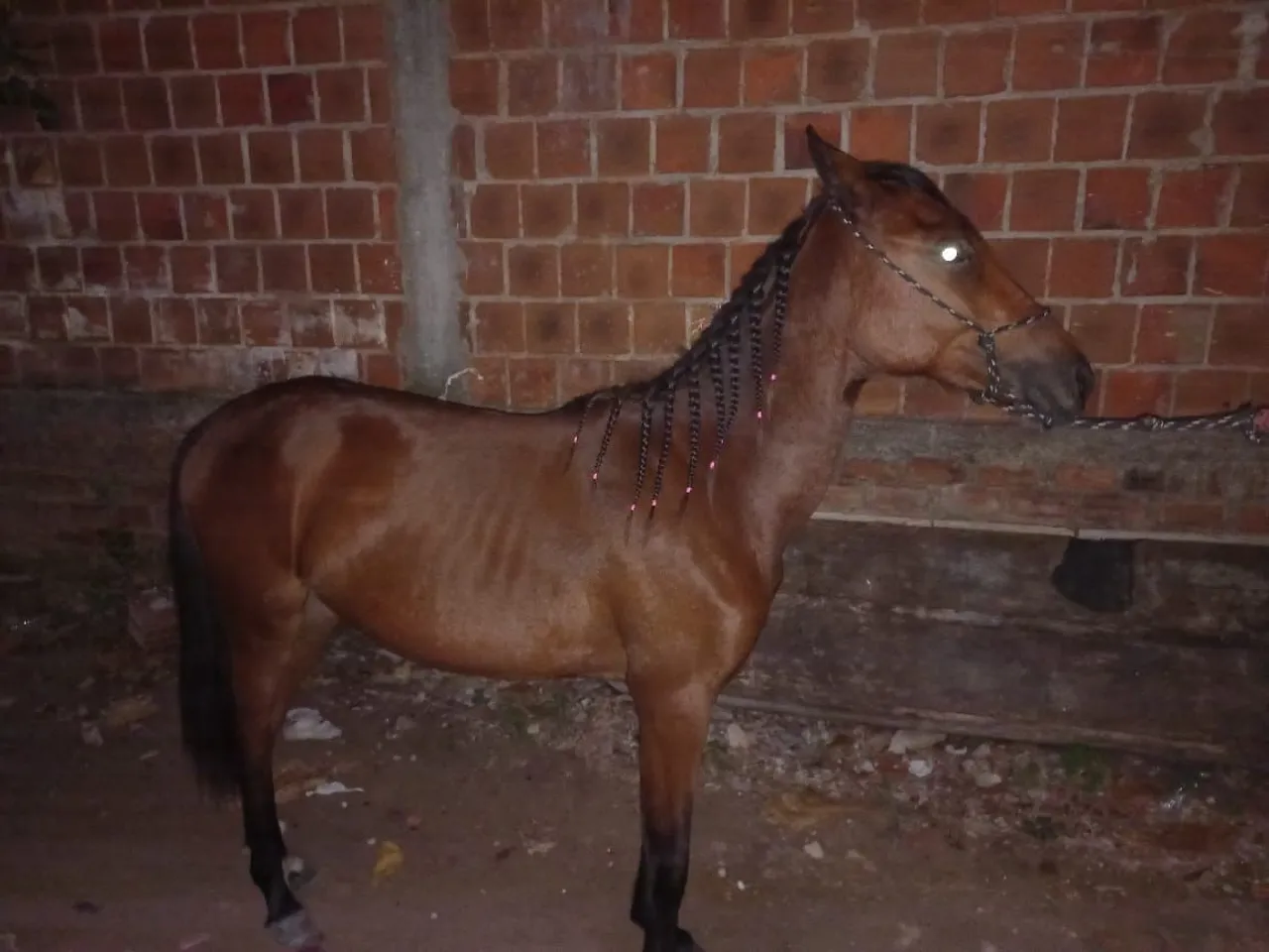 olha um podra para vender