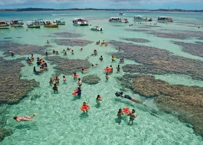 Pré lançamento pé na areia de Maragogi