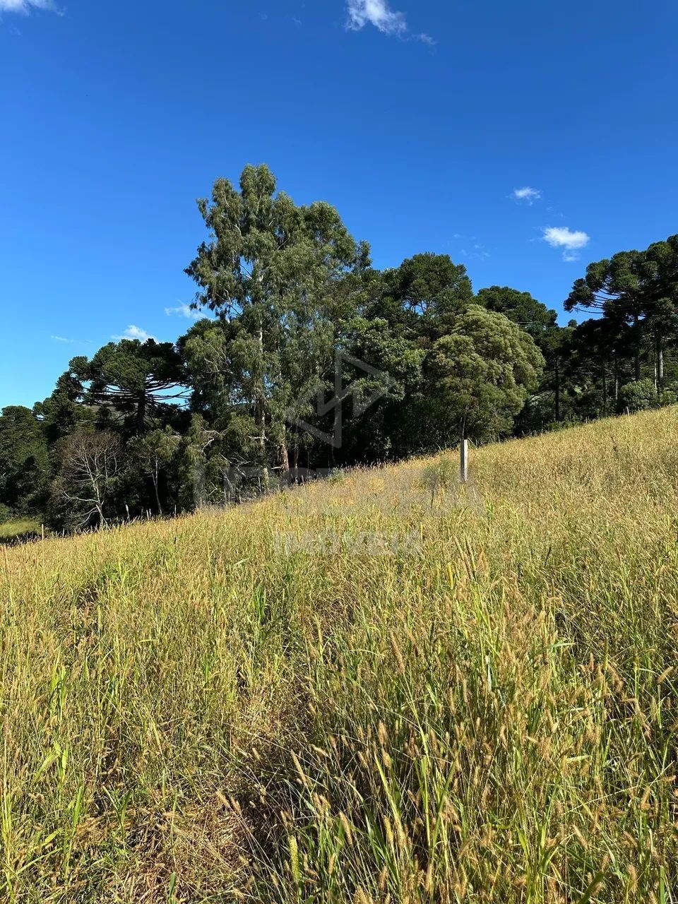 Chácara 2 Hectares de Alto Padrão com Vista - Foto 4
