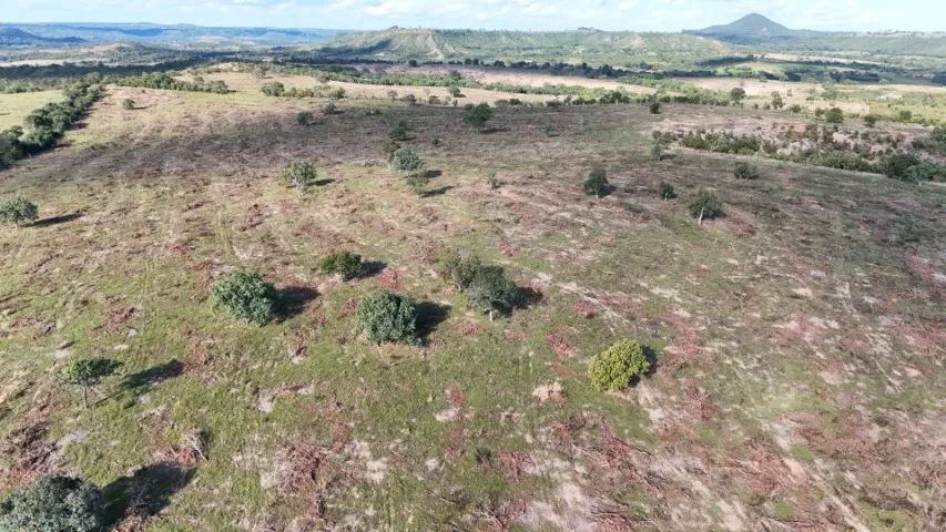 Chácara 99,9 Hectares com Bom Preço em  Camapuã - MS ! - Foto 2