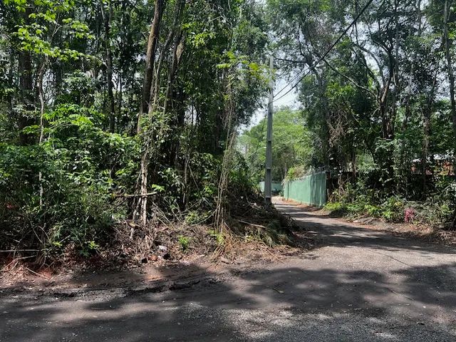 Chácara para venda com 2.257 metros quadrados - Rua Jandaia, Chácaras de Recreio Samambaia