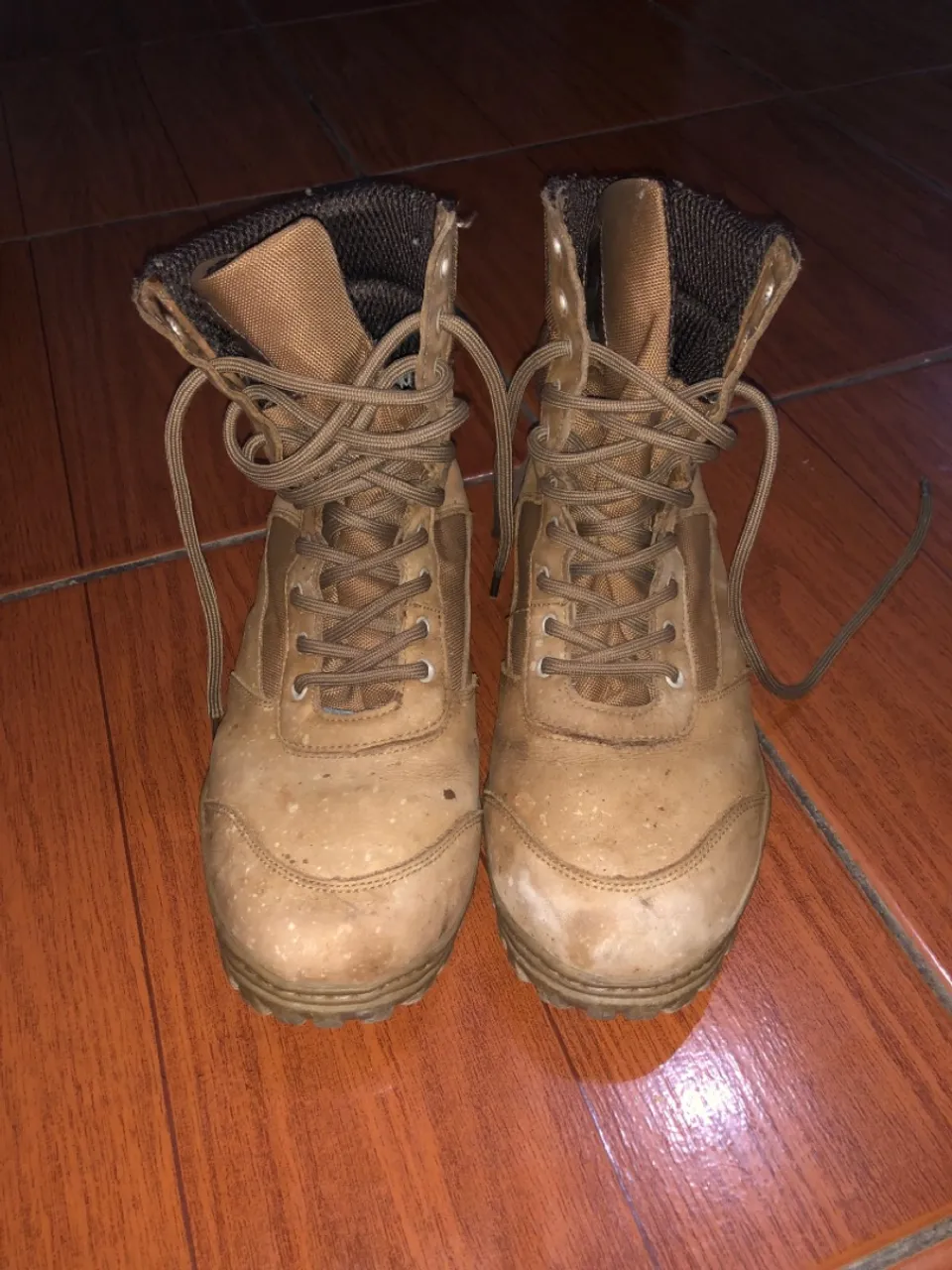 Coturno coyote exército