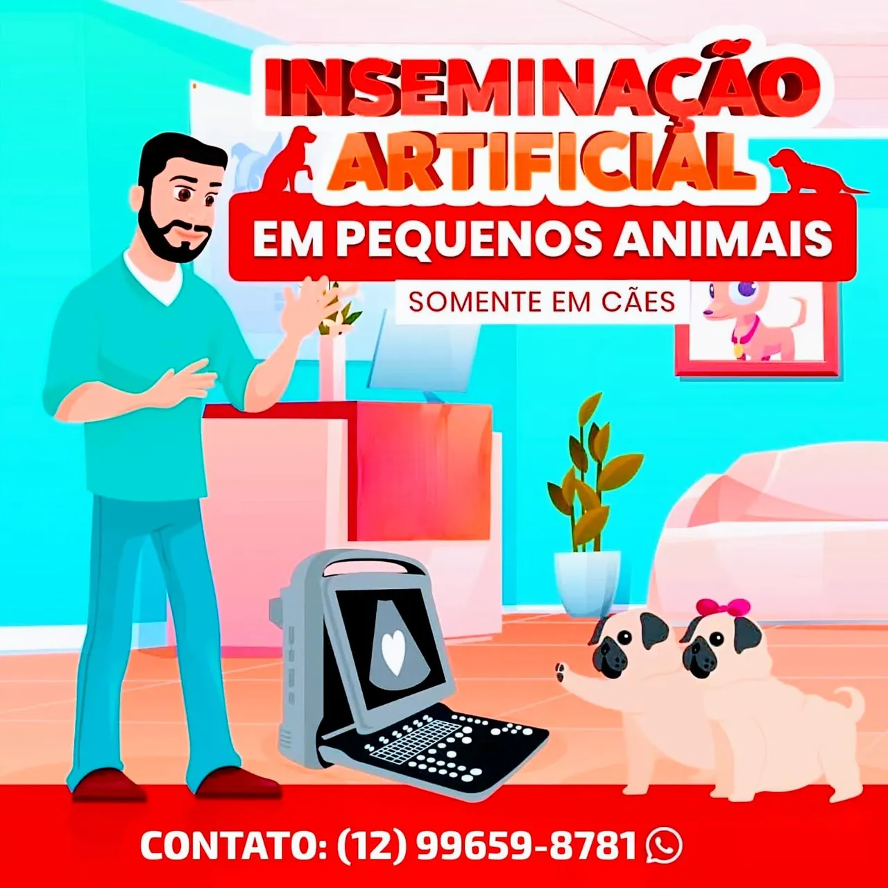 Inseminação artificial em cães