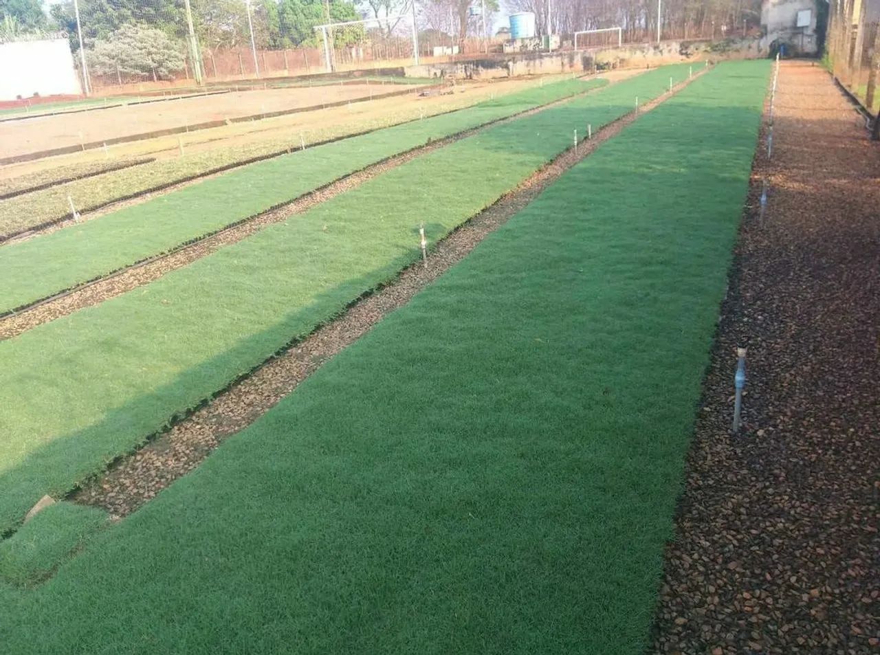 Gramas apartir de 6,99 ó m2 já plantado!