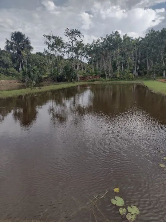 Sítio em Aurora do Pará com 11.000 metros quadrados. - Foto 6