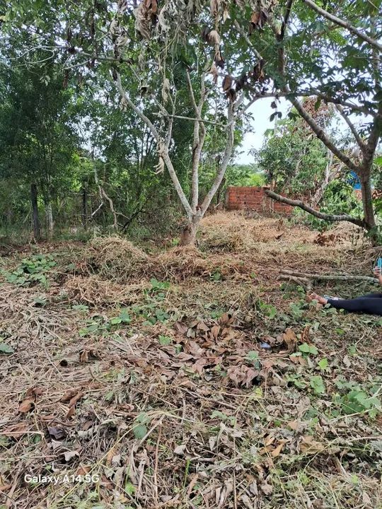 Vende-se terreno  - Foto 3