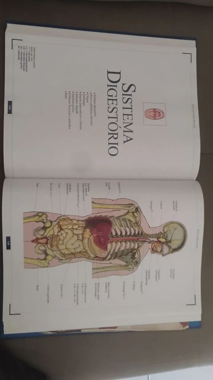 Atlas do corpo humano  - Foto 3