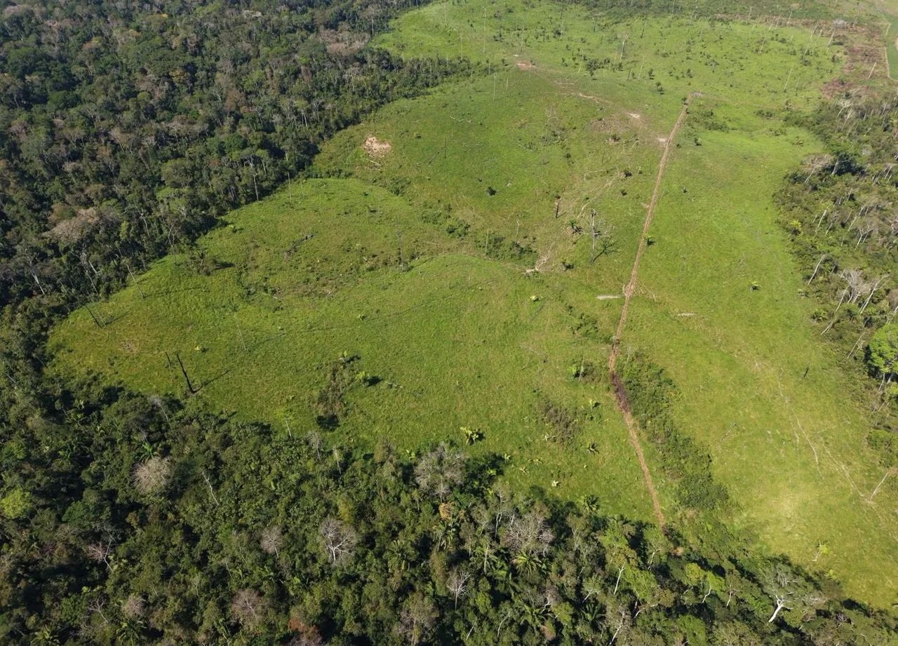 TERRA À VENDA EM FEIJÓ  - Foto 5