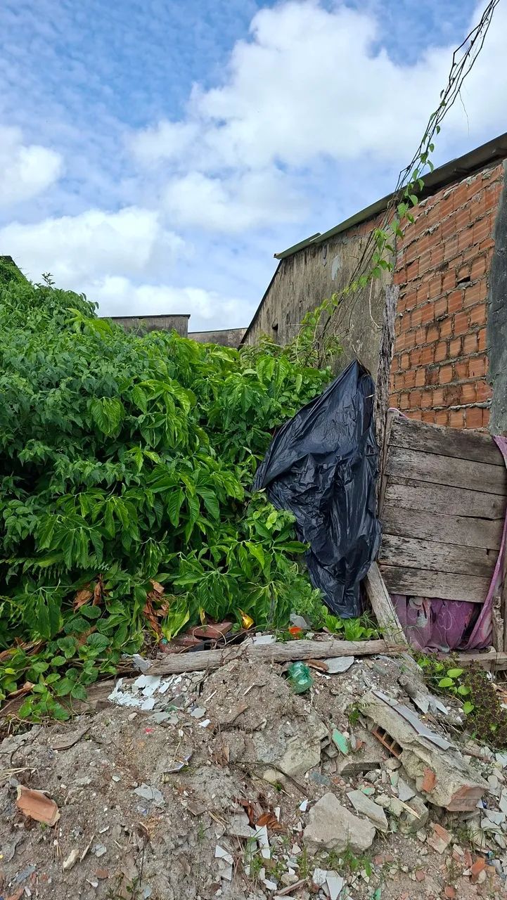  Vendo Terreno na Lomas 