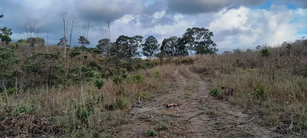 OPORTUNIDADE - Chácara 20 mil metros² - Foto 4