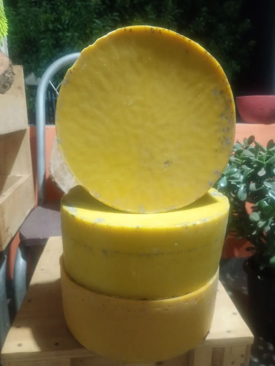 Cera de abelhas apis natural bruta 