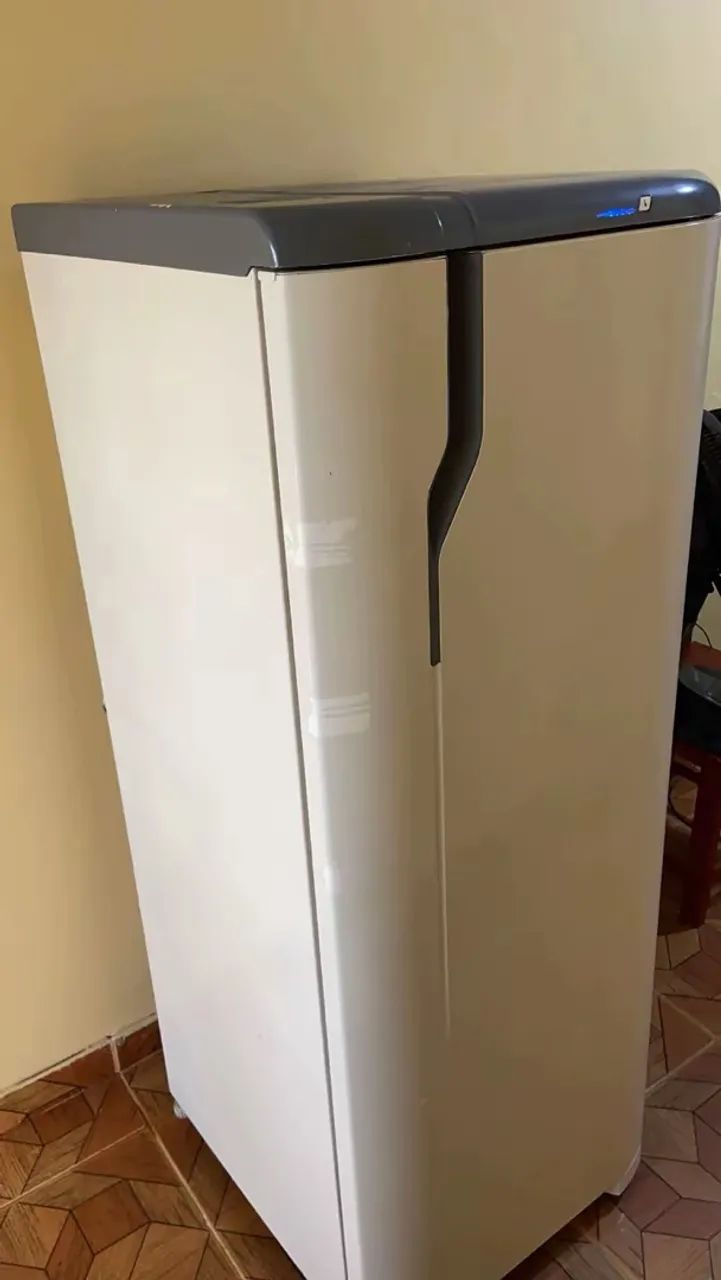 Geladeira Electrolux 