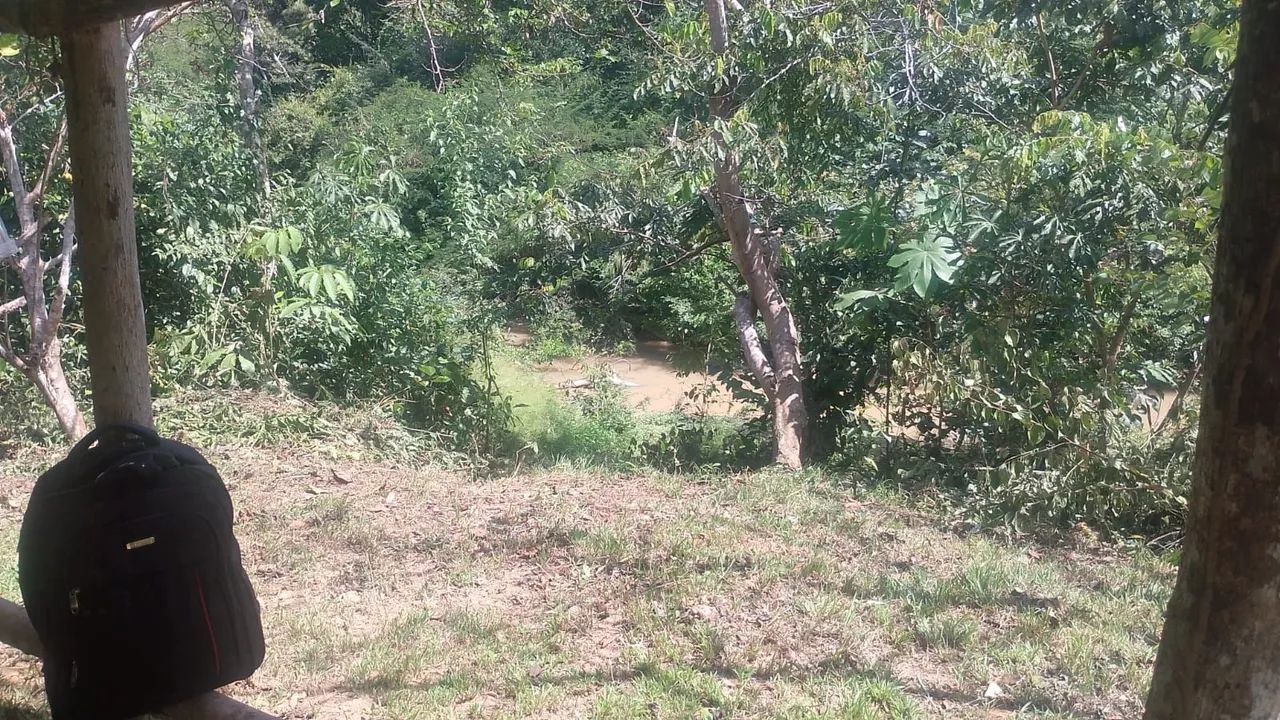 Vende - se uma área de terra com aproximadamente 100 hectares de terra