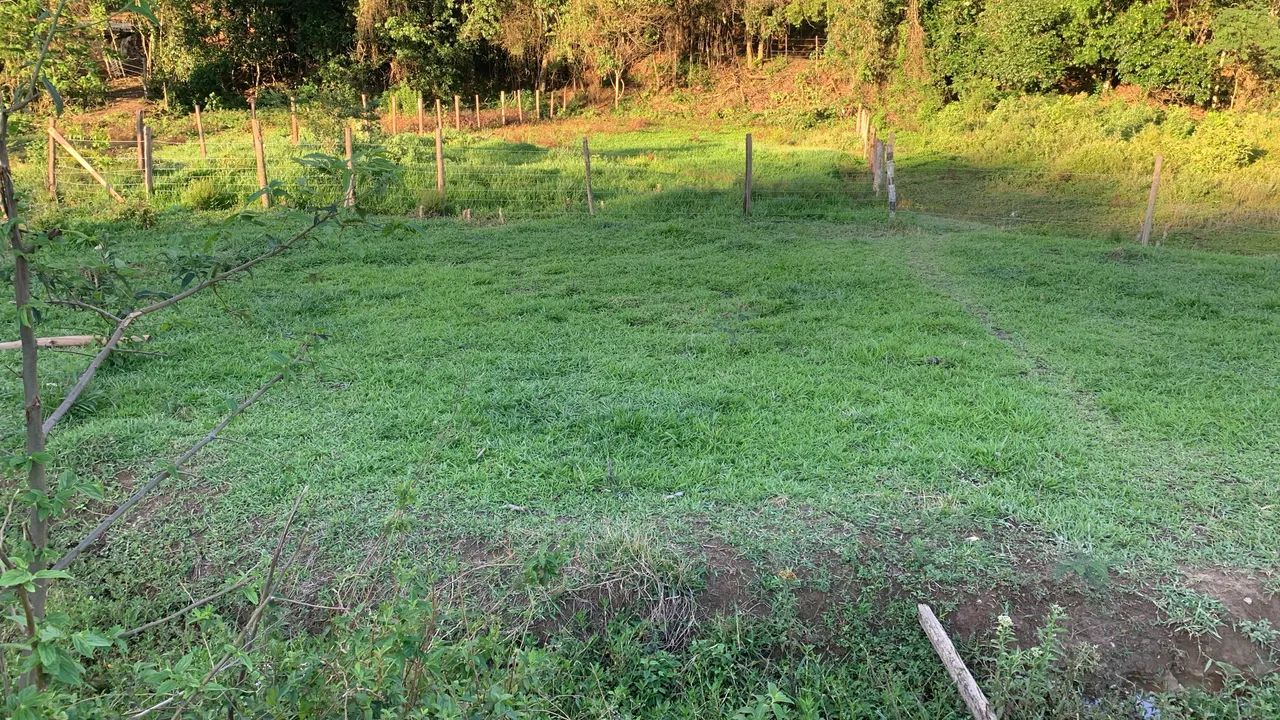 Seu Plano Realizado  - Foto 2
