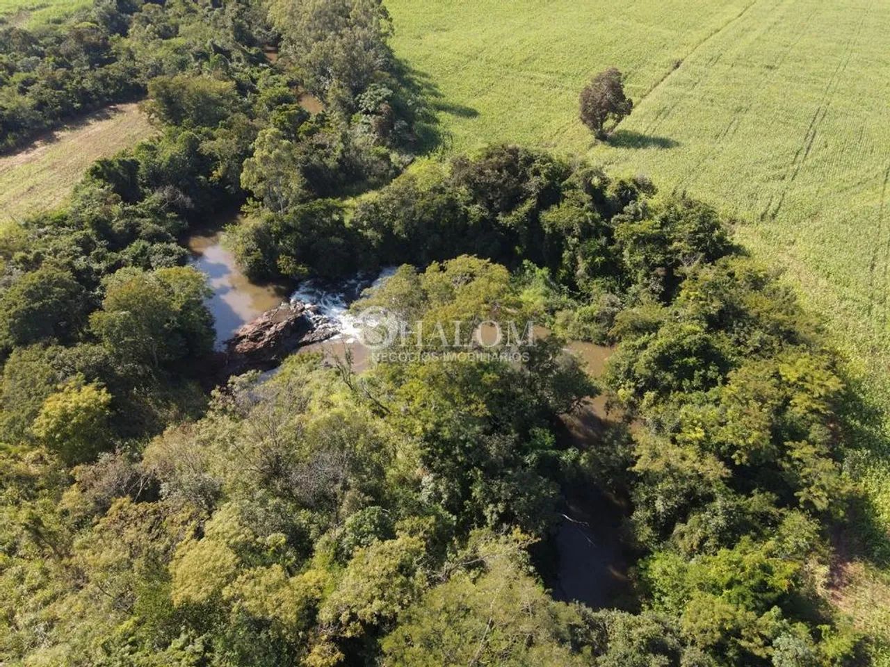 Chácara à venda em Doutor Camargo, Rodovia 323 - Foto 2