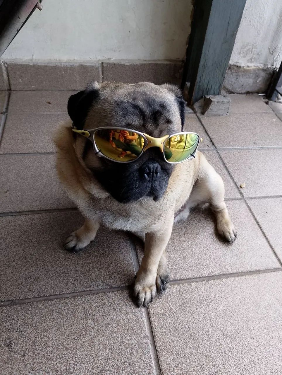 Óculos Oakley masculino  - Foto 3