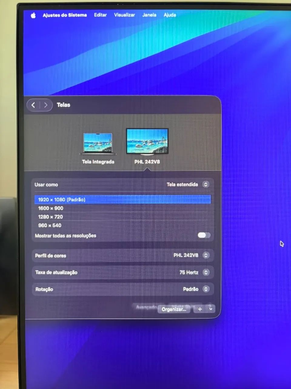 Monitor Philips 24" Full HD 75Hz IPS (Excelente Estado) - Foto 2