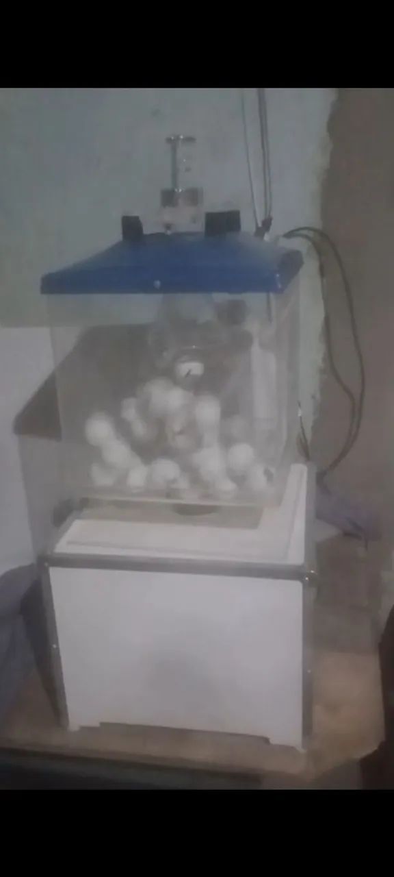 Globo sorteadora 