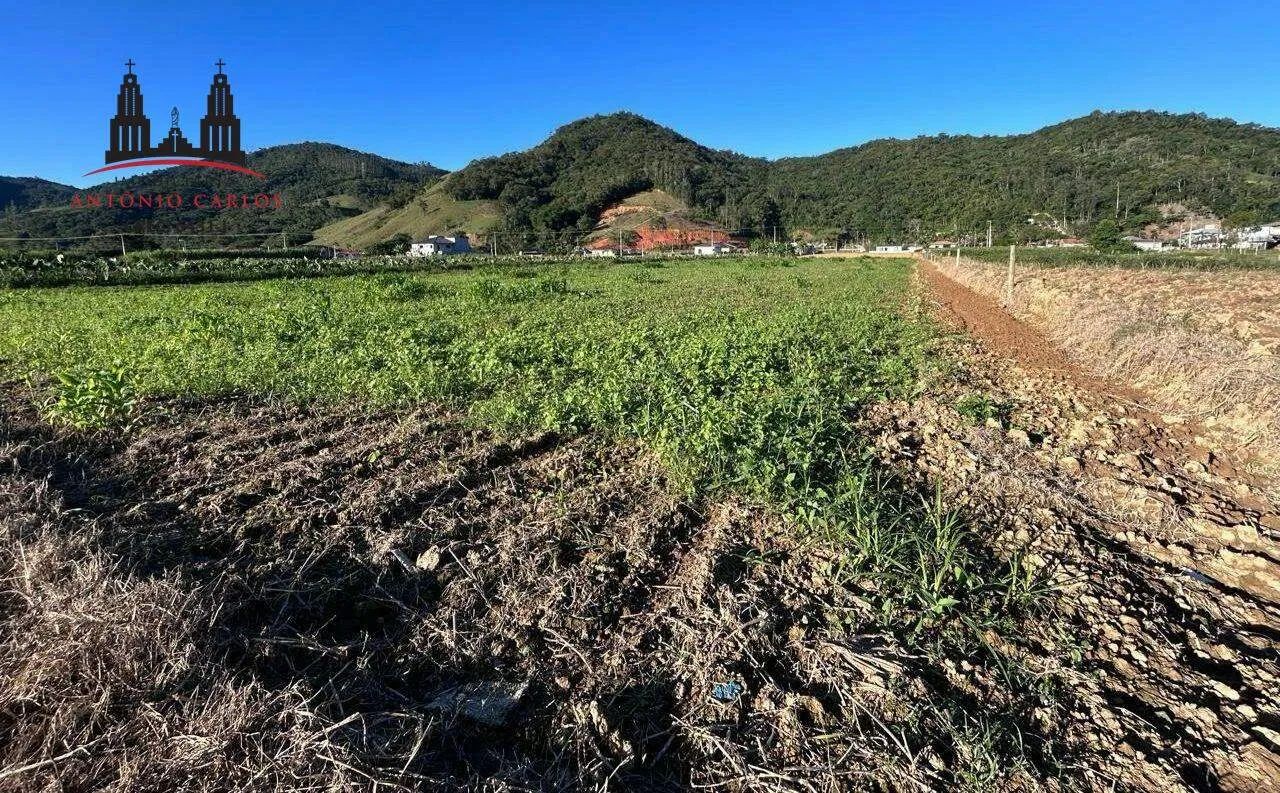 TERRENO COM 6.158,97 EM ANTÔNIO CARLOS - Foto 5