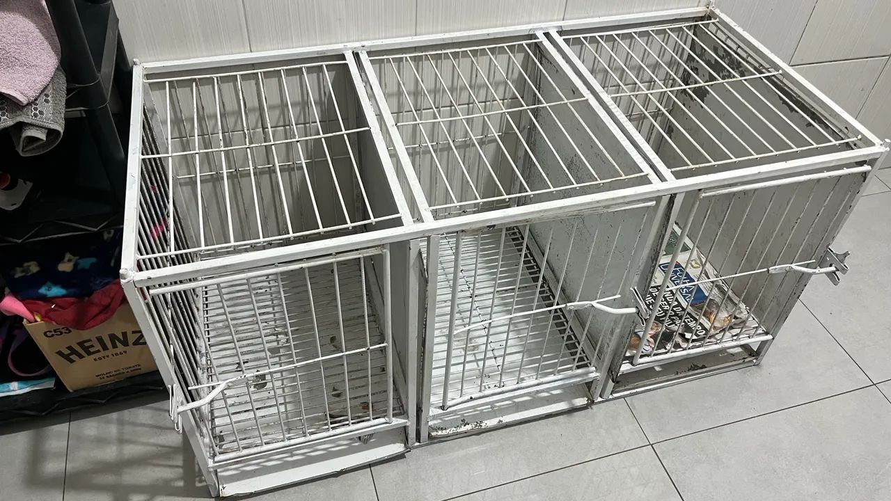 Canil para banho e tosa