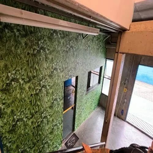 Papel parede jardim vertical de plantas 